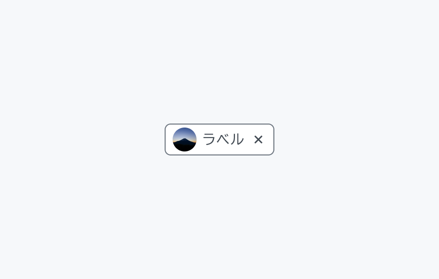 Chip Prefix avatar のInput Chip。アバター画像、「ラベル」というテキスト、閉じるボタンが付いたチップが表示されています。
